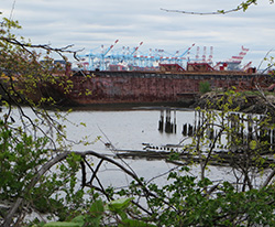 Port Richmond BOA